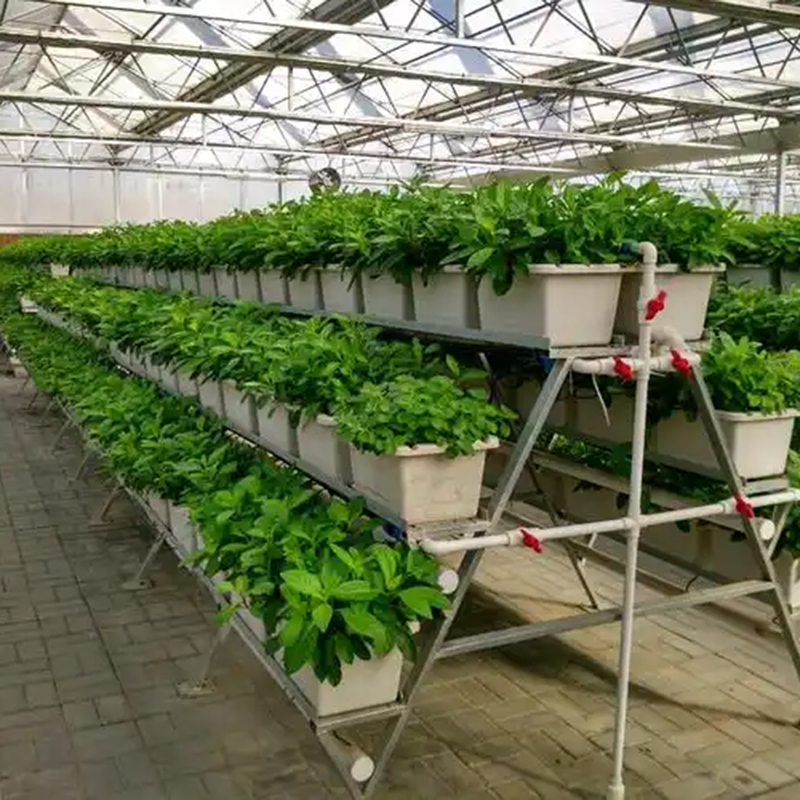 徐州市植物工厂空中草莓 - 方案